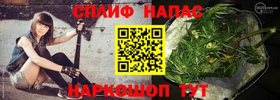 СК Будённовск