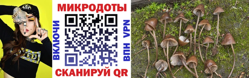 ОМГ ОМГ ONION  Ялуторовск  Галлюциногенные грибы Psilocybe 