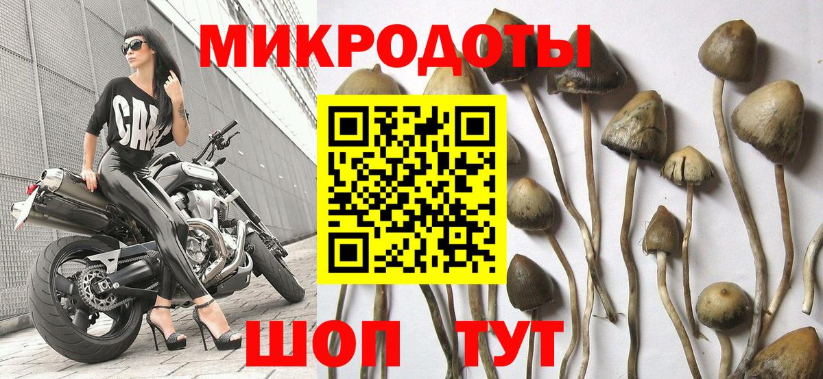 Псилоцибиновые грибы MAGIC MUSHROOMS  Галлюциногенные грибы прущие грибы  Ялуторовск  Вход с VPN 