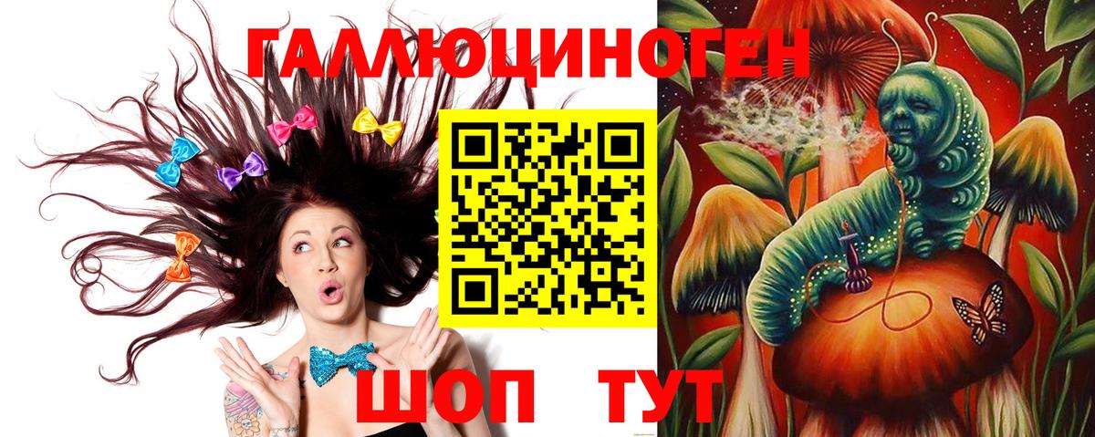 где найти   Ялуторовск  Псилоцибиновые грибы Cubensis 