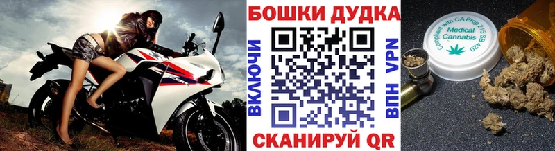 Конопля OG Kush Ялуторовск